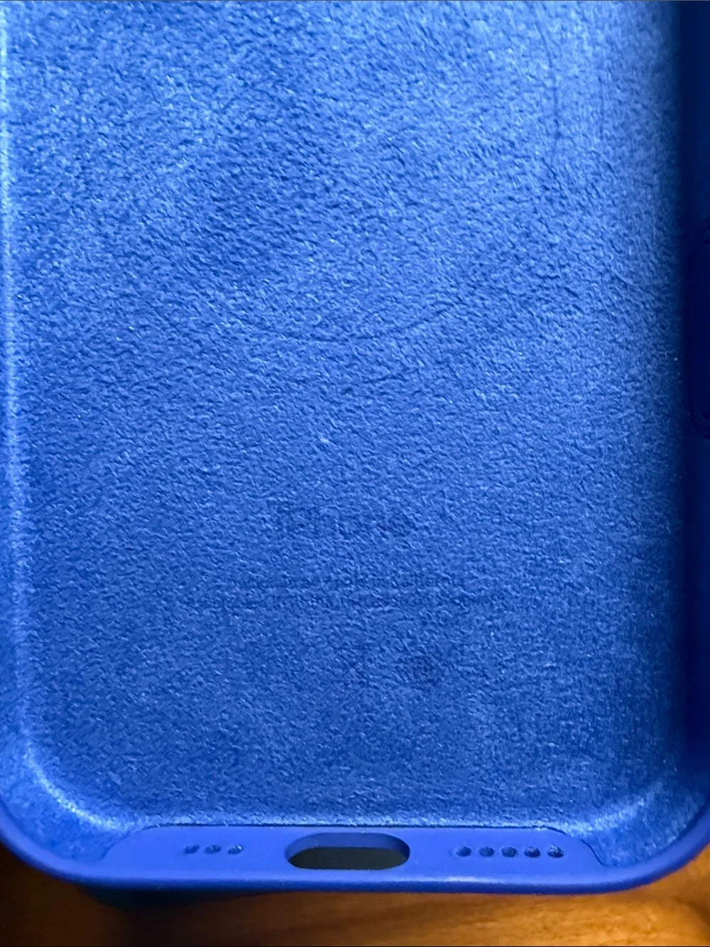 iPhone 16 Pro Apple Case
